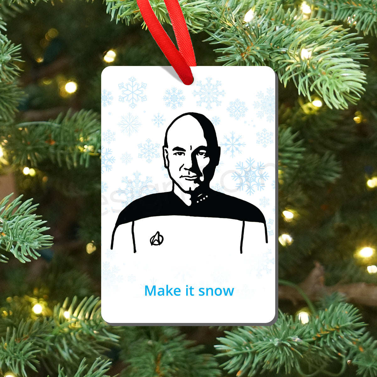 Star Trek Picard Snow Magnet and Ornament