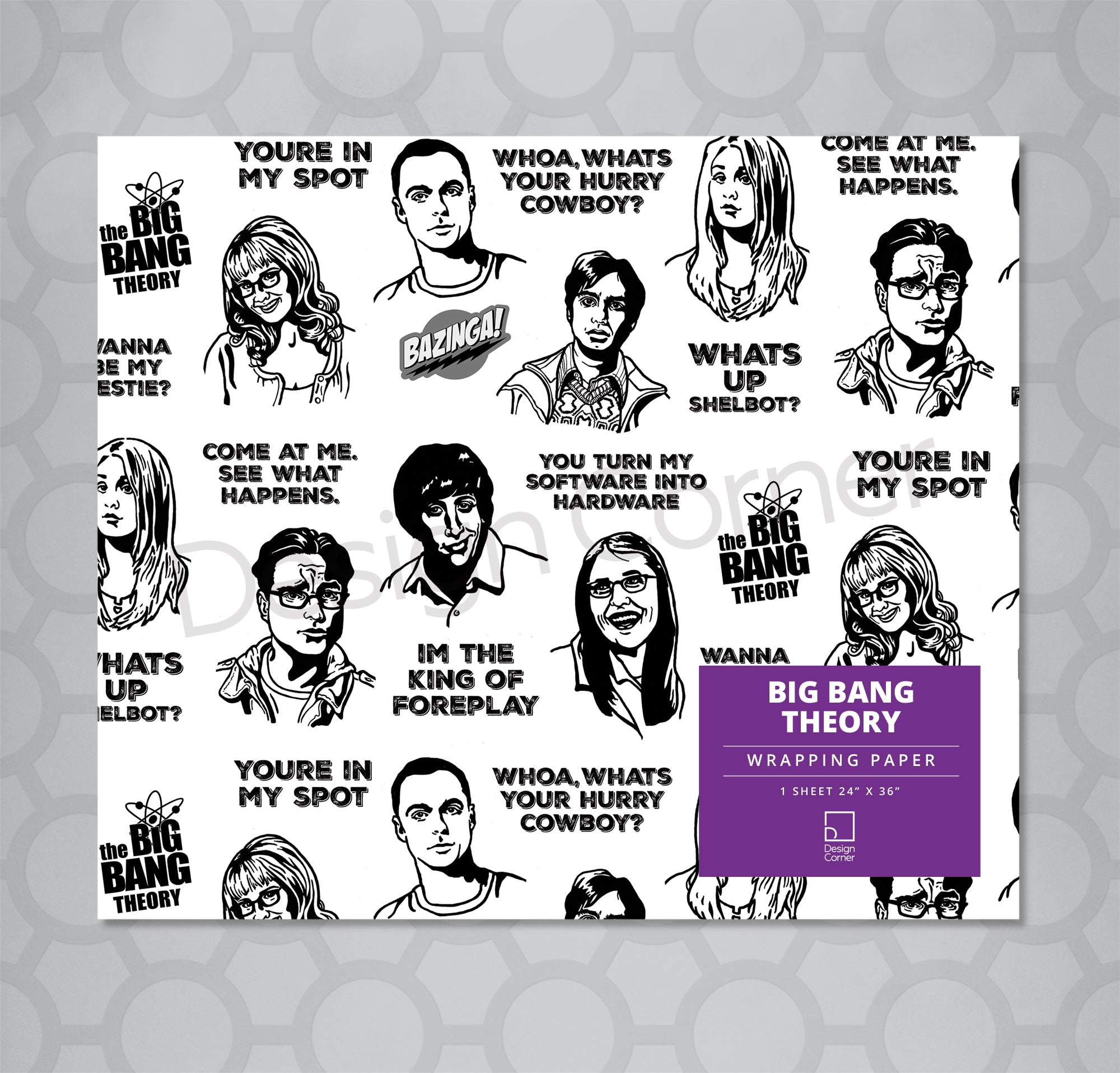 Big Bang Theory Gift Wrap 24"x36" Sheet