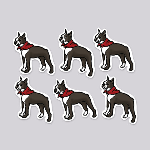 Boston Terriers Die Cut Sticker 6 Pack