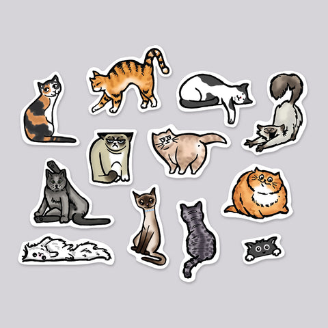 Cats Die Cut Sticker 12 Pack