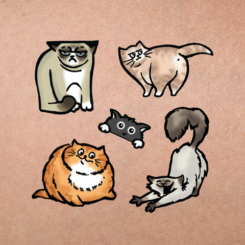 Cat illustrations temporary tattoos