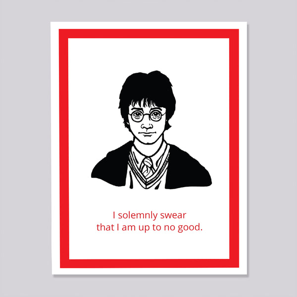 Harry Potter Magnet and Ornament