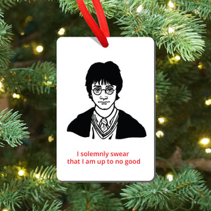 Harry Potter Magnet and Ornament