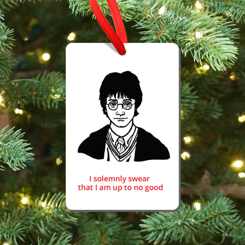 Harry Potter Magnet and Ornament