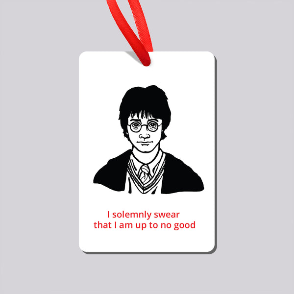 Harry Potter Magnet and Ornament