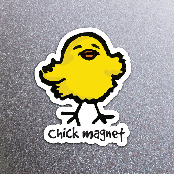 Magnet of a yellow chick with 'Chick magnet' text on a metal background