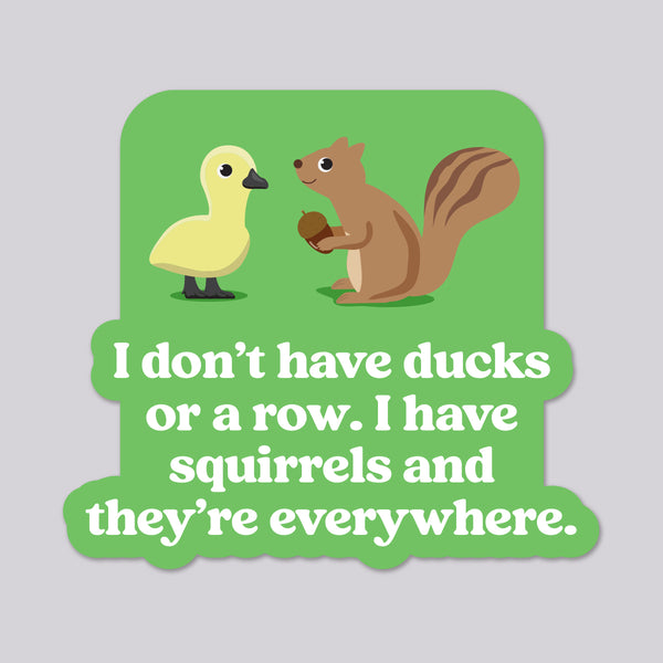 Ducks and Squirrels Everywhere funny vinyl die cut sticker