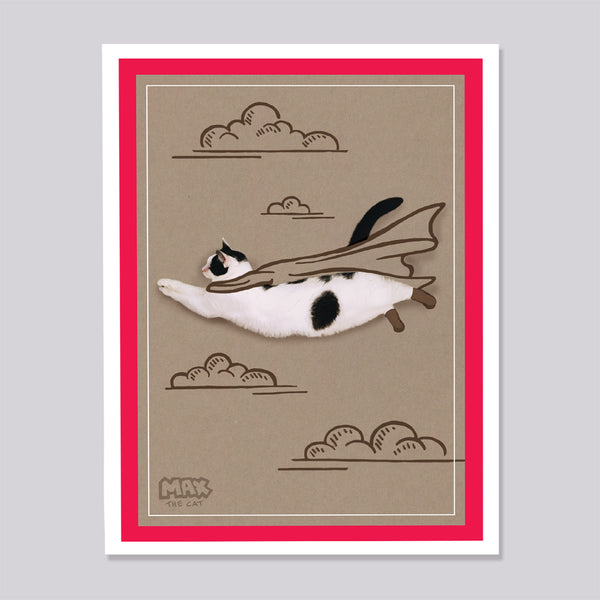 Greeting care with a real black and white cat flying on an illustrated sky background with a cape.