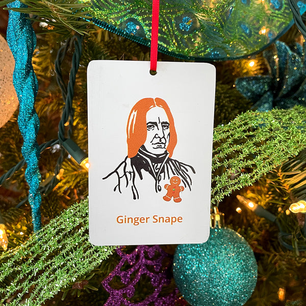 Harry Potter Severus Snape Magnet and Ornament