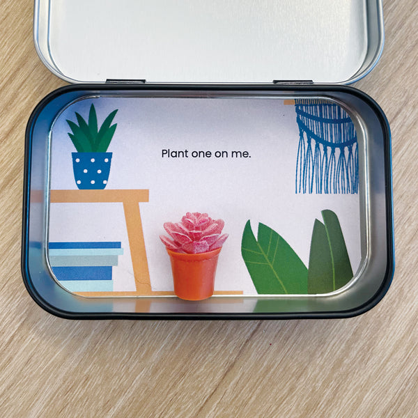 Matchbox Surprise Card Tin - My life would succ without you Succulent Magnet
