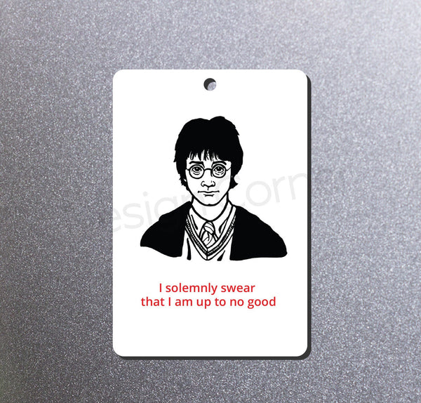Harry Potter Magnet and Ornament