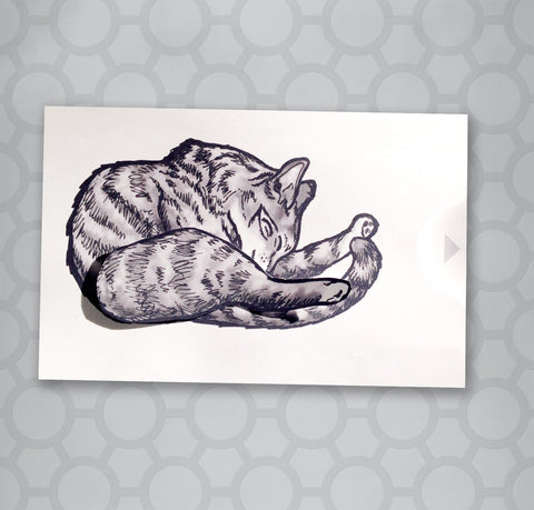Cat Cleaning Butt Moveable Pull Tab Card